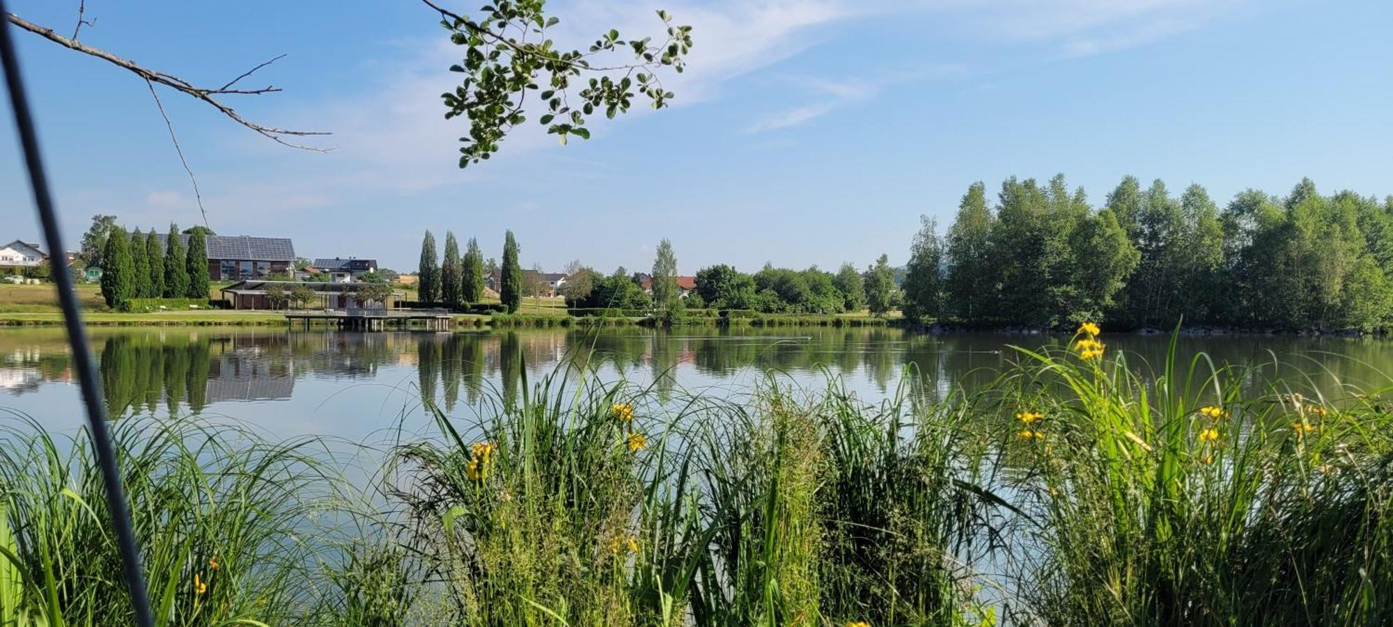 Ferienwohnung Bayerwaldblick Jandelsbrunn Εξωτερικό φωτογραφία