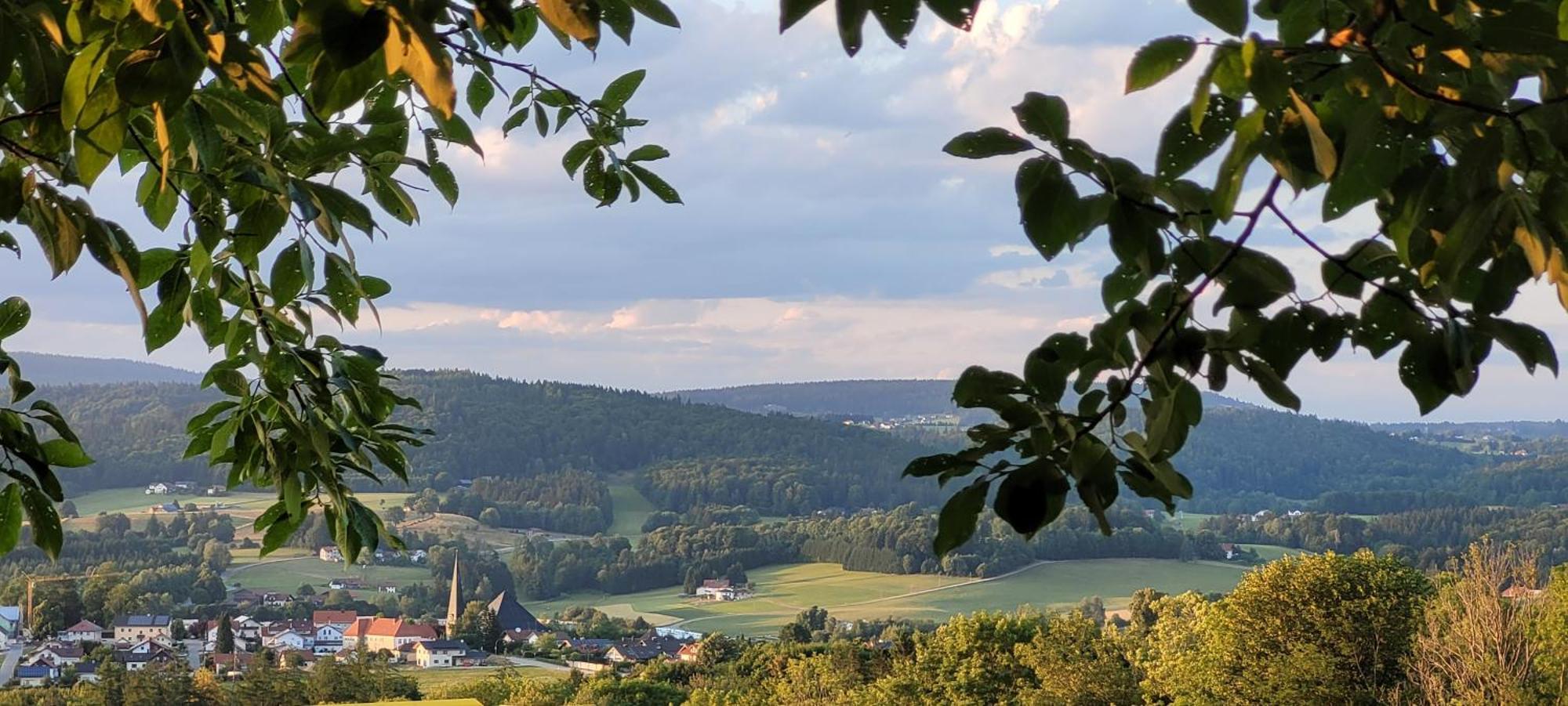 Ferienwohnung Bayerwaldblick Jandelsbrunn Εξωτερικό φωτογραφία