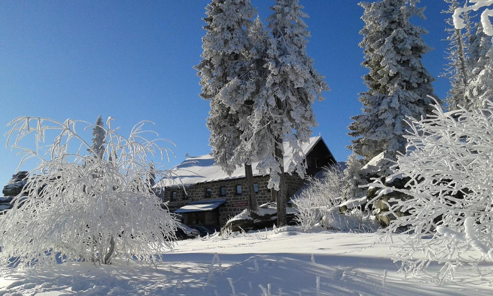 Ferienwohnung Bayerwaldblick Jandelsbrunn Εξωτερικό φωτογραφία