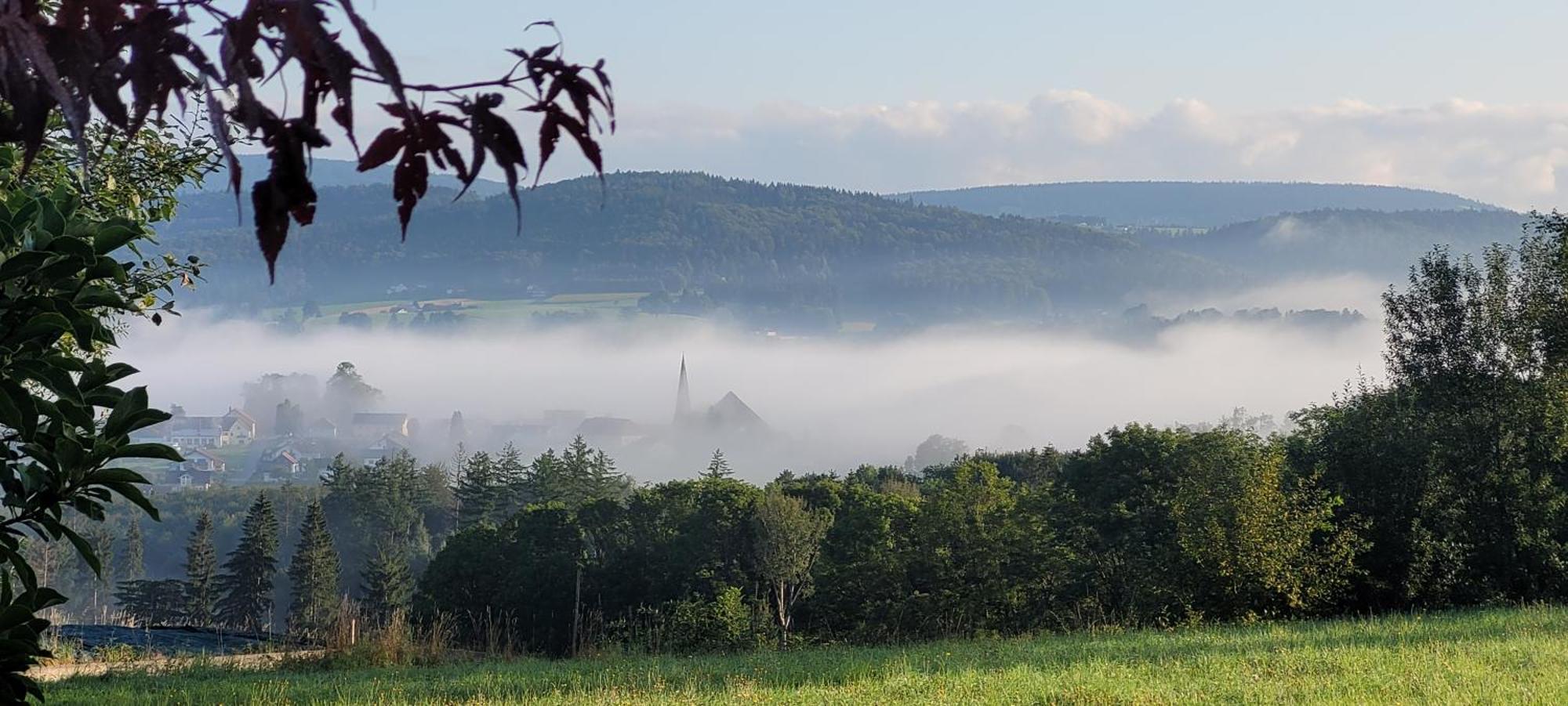 Ferienwohnung Bayerwaldblick Jandelsbrunn Εξωτερικό φωτογραφία